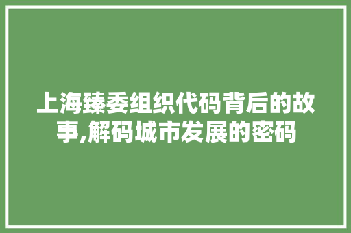 上海臻委组织代码背后的故事,解码城市发展的密码 上海臻委组织代码背后的故事,解码城市发展的密码 服务器/数据库