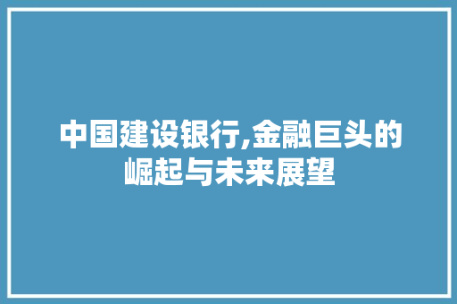 中国建设银行,金融巨头的崛起与未来展望 中国建设银行,金融巨头的崛起与未来展望 WordPress教程