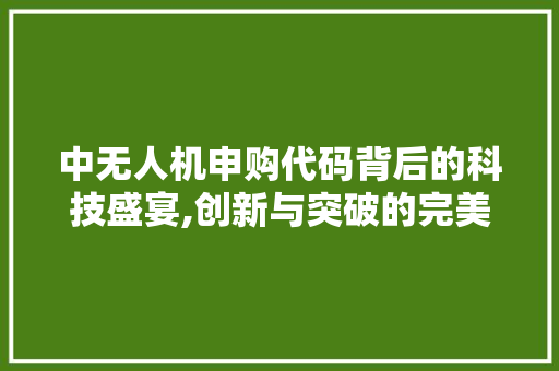 中无人机申购代码背后的科技盛宴,创新与突破的完美融合 中无人机申购代码背后的科技盛宴,创新与突破的完美融合 服务器/数据库
