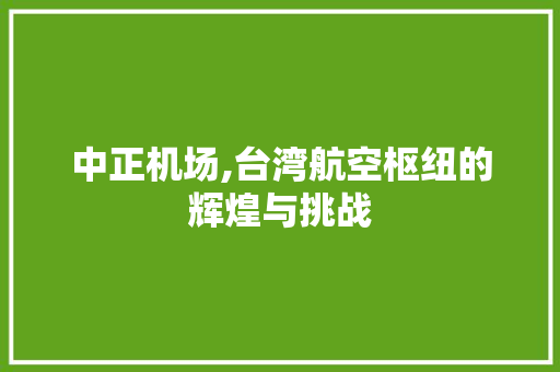 中正机场,台湾航空枢纽的辉煌与挑战 中正机场,台湾航空枢纽的辉煌与挑战 WordPress教程