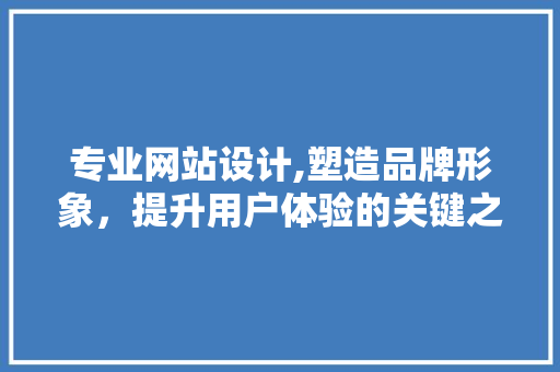 专业网站设计,塑造品牌形象，提升用户体验的关键之路