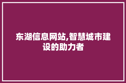 东湖信息网站,智慧城市建设的助力者