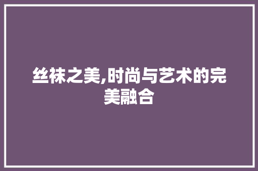 丝袜之美,时尚与艺术的完美融合