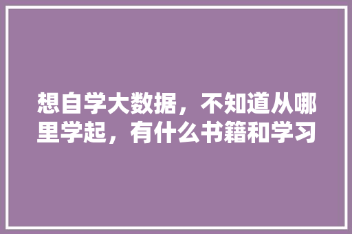 想自学大数据，不知道从哪里学起，有什么书籍和学习路线推荐么「web数据库实训报告」 WordPress教程