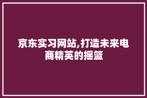 京东实习网站,打造未来电商精英的摇篮
