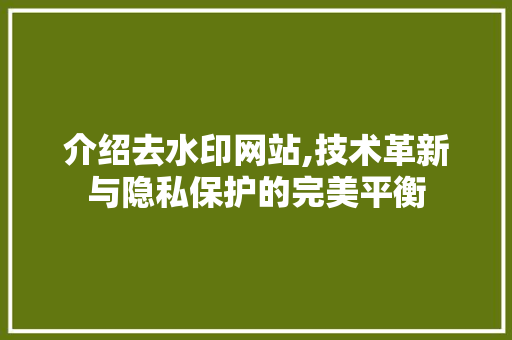 介绍去水印网站,技术革新与隐私保护的完美平衡