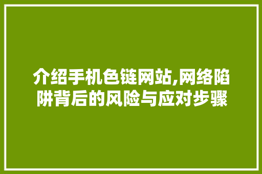 介绍手机色链网站,网络陷阱背后的风险与应对步骤
