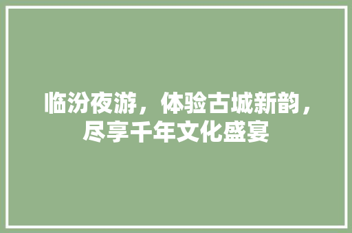 临汾夜游，体验古城新韵，尽享千年文化盛宴 临汾夜游，体验古城新韵，尽享千年文化盛宴 建站教程
