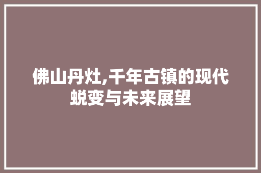 佛山丹灶,千年古镇的现代蜕变与未来展望