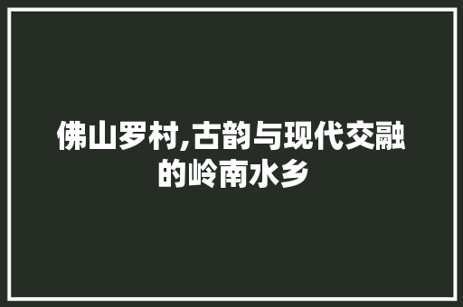 佛山罗村,古韵与现代交融的岭南水乡