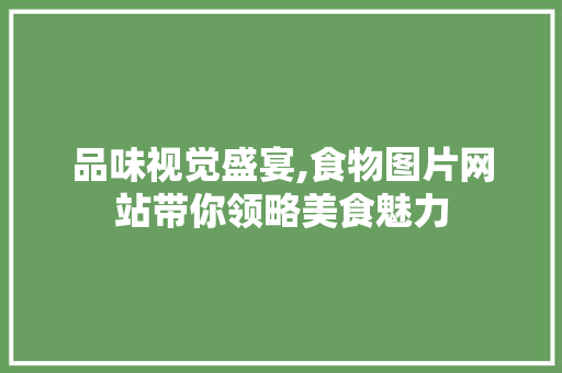 品味视觉盛宴,食物图片网站带你领略美食魅力 品味视觉盛宴,食物图片网站带你领略美食魅力 建站教程