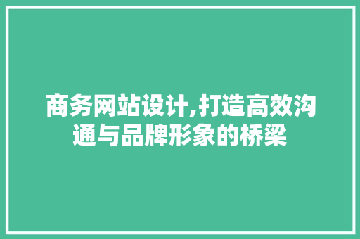 商务网站设计,打造高效沟通与品牌形象的桥梁