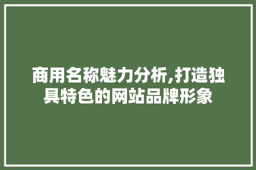 商用名称魅力分析,打造独具特色的网站品牌形象