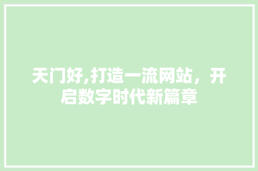 天门好,打造一流网站，开启数字时代新篇章