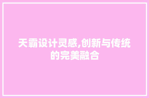 天霸设计灵感,创新与传统的完美融合
