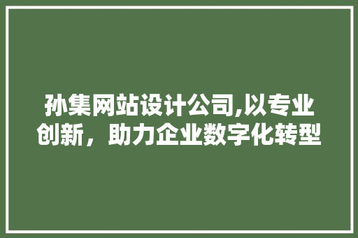 孙集网站设计公司,以专业创新，助力企业数字化转型
