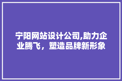 宁阳网站设计公司,助力企业腾飞，塑造品牌新形象