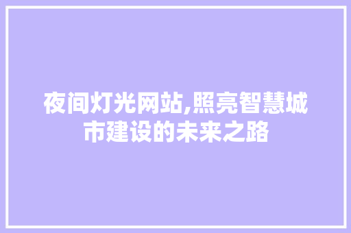 夜间灯光网站,照亮智慧城市建设的未来之路