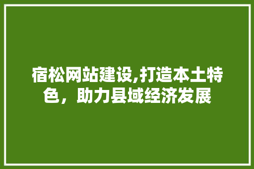 宿松网站建设,打造本土特色，助力县域经济发展