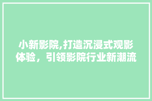 小新影院,打造沉浸式观影体验，引领影院行业新潮流