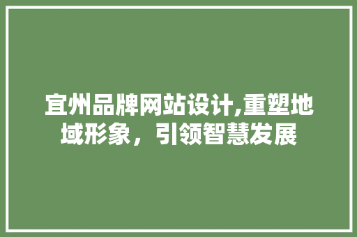 宜州品牌网站设计,重塑地域形象，引领智慧发展