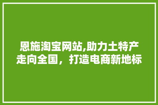 恩施淘宝网站,助力土特产走向全国，打造电商新地标
