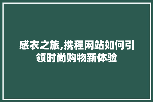 感衣之旅,携程网站如何引领时尚购物新体验