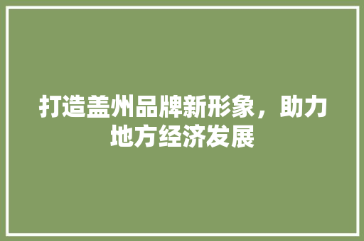 打造盖州品牌新形象，助力地方经济发展