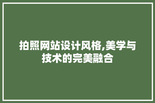 拍照网站设计风格,美学与技术的完美融合 拍照网站设计风格,美学与技术的完美融合 SEO教程