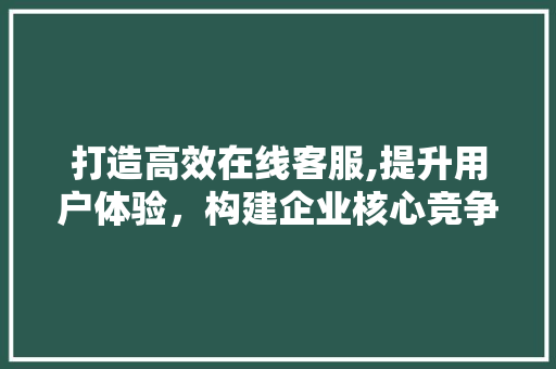 打造高效在线客服,提升用户体验，构建企业核心竞争力