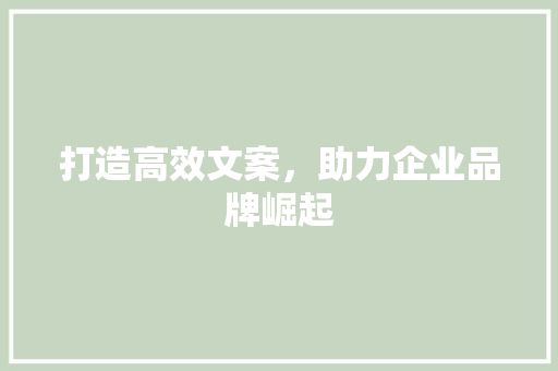 打造高效文案，助力企业品牌崛起