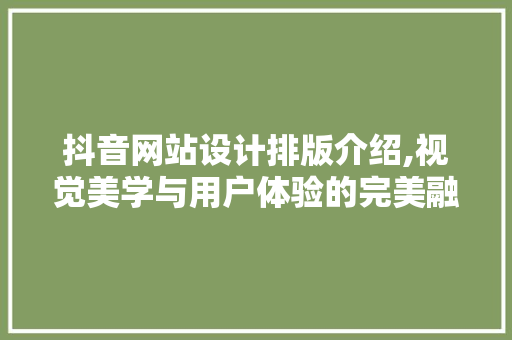 抖音网站设计排版介绍,视觉美学与用户体验的完美融合