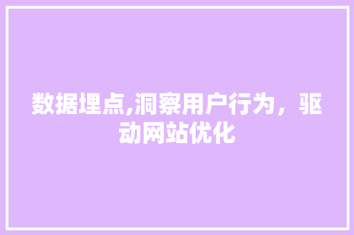 数据埋点,洞察用户行为，驱动网站优化