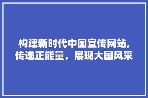 构建新时代中国宣传网站,传递正能量，展现大国风采