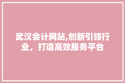 武汉会计网站,创新引领行业，打造高效服务平台