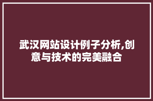 武汉网站设计例子分析,创意与技术的完美融合