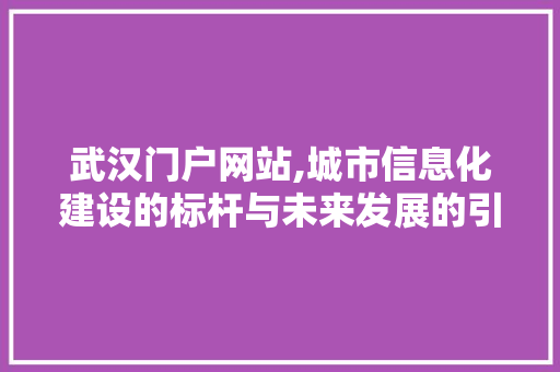 武汉门户网站,城市信息化建设的标杆与未来发展的引领者