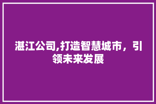 湛江公司,打造智慧城市，引领未来发展 湛江公司,打造智慧城市，引领未来发展 Web前端