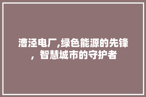 漕泾电厂,绿色能源的先锋，智慧城市的守护者