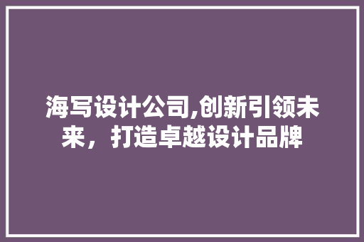 海写设计公司,创新引领未来，打造卓越设计品牌 海写设计公司,创新引领未来，打造卓越设计品牌 Web前端