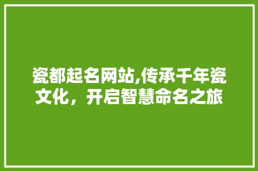 瓷都起名网站,传承千年瓷文化，开启智慧命名之旅 瓷都起名网站,传承千年瓷文化，开启智慧命名之旅 建站教程