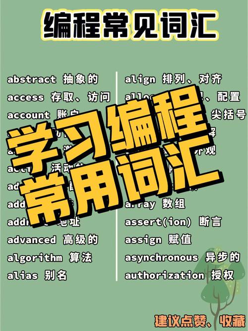 学编程应该先学什么「先学web还是数据库好」 服务器/数据库 学编程应该先学什么「先学web还是数据库好」 学编程应该先学什么「先学web还是数据库好」 服务器/数据库