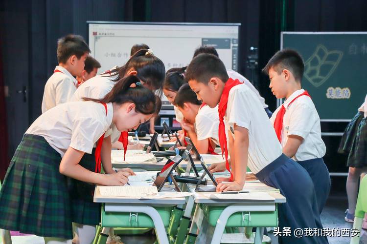 中国教育版图,万千学校共绘育人蓝图 中国教育版图,万千学校共绘育人蓝图 WordPress教程