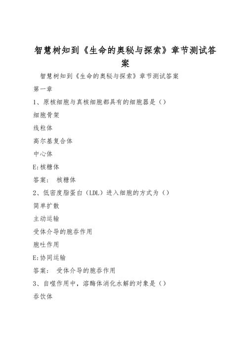 星期的密码,探索一周七天的奥秘与智慧 星期的密码,探索一周七天的奥秘与智慧 友链在线