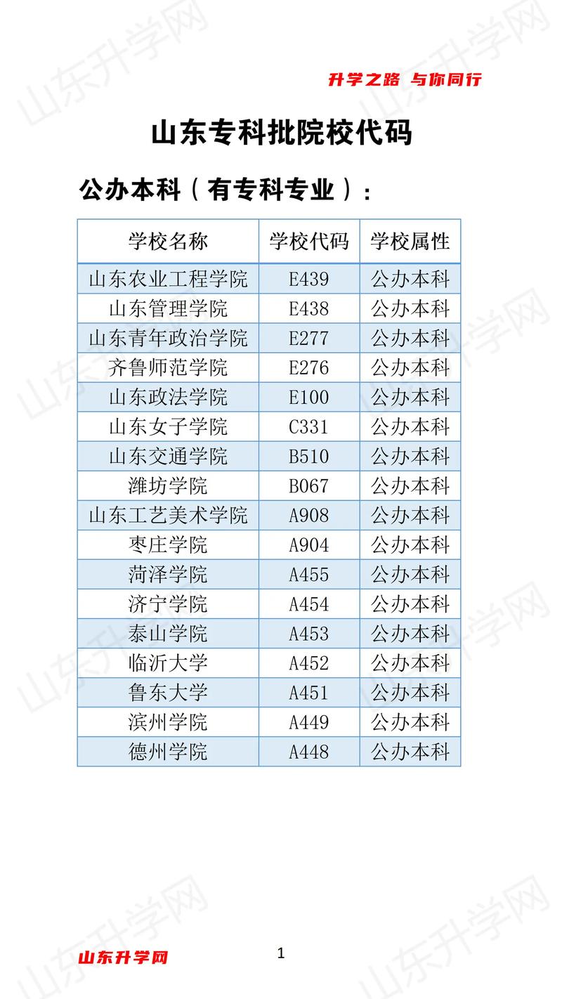 专科专生代码,解码未来的钥匙 SEO教程 专科专生代码,解码未来的钥匙 专科专生代码,解码未来的钥匙 SEO教程