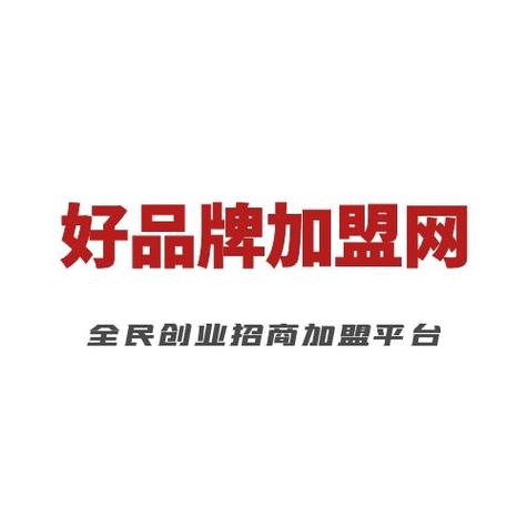 东营加盟网站设计,打造个性化品牌，助力企业腾飞 东营加盟网站设计,打造个性化品牌，助力企业腾飞 友链在线