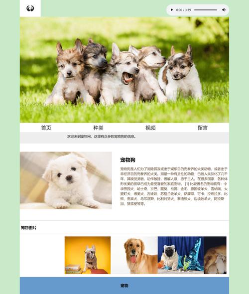 宠物网站设计理念,以宠物主人为中心，打造温馨的宠物生活圈 宠物网站设计理念,以宠物主人为中心，打造温馨的宠物生活圈 Web前端