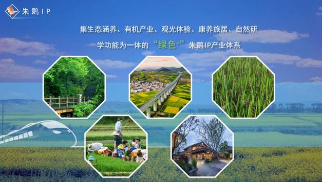 平谷网站设计方法,打造绿色生态旅游新名片 平谷网站设计方法,打造绿色生态旅游新名片 Web前端