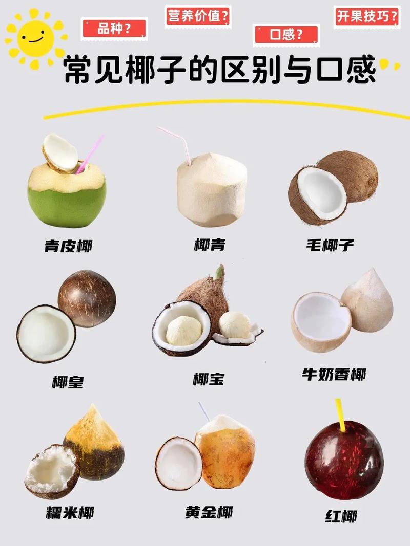 椰子网站设计教程,打造个性化用户体验的艺术之旅 椰子网站设计教程,打造个性化用户体验的艺术之旅 WordPress教程