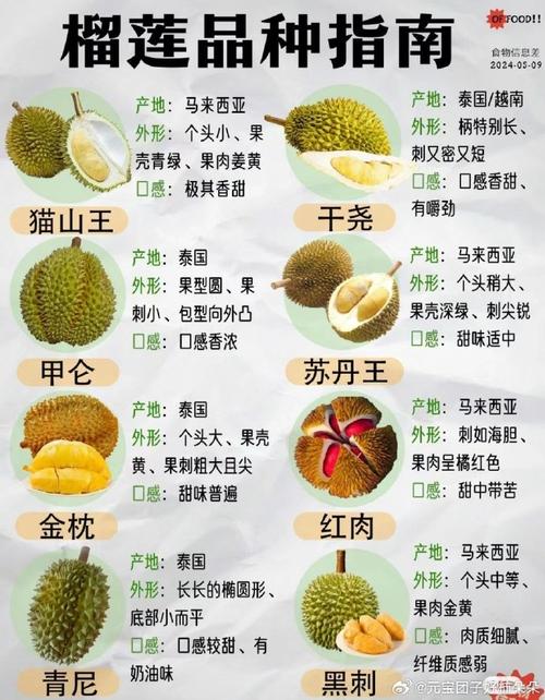 榴莲之美,介绍东南亚果王的风采与魅力 榴莲之美,介绍东南亚果王的风采与魅力 友链在线